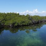 listing image thumbnail with ID 24206