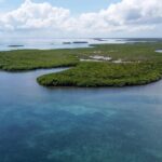 listing image thumbnail with ID 22993