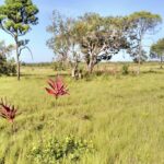 listing image thumbnail with ID 23711