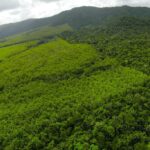 listing image thumbnail with ID 23332