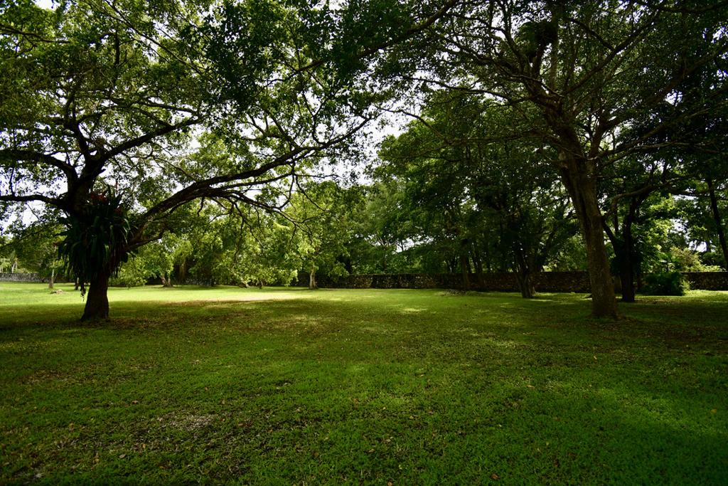 listing image with ID 22902