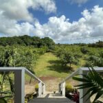 listing image thumbnail with ID 20439