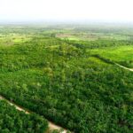 listing image thumbnail with ID 22517