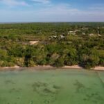 listing image thumbnail with ID 21874