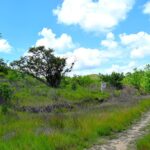 listing image thumbnail with ID 21741