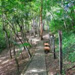 listing image thumbnail with ID 20015