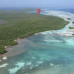 listing image thumbnail with ID 19750