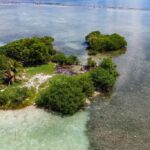 listing image thumbnail with ID 22999