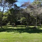 listing image thumbnail with ID 20027