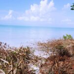 listing image thumbnail with ID 21910