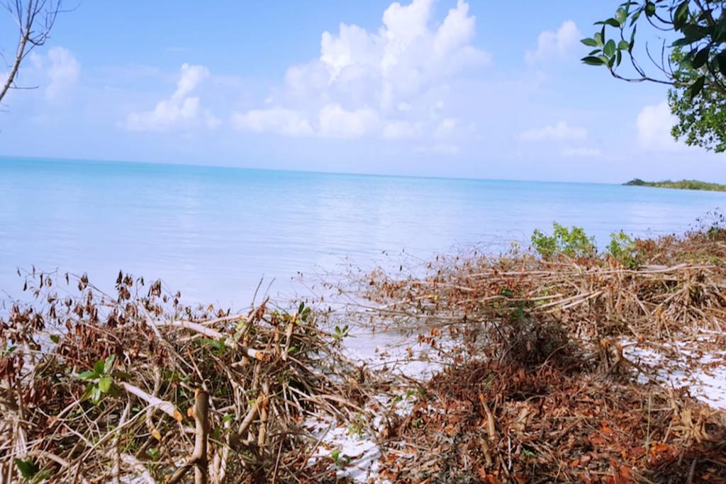 listing image with ID 21910