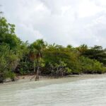 listing image thumbnail with ID 21868