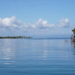 listing image thumbnail with ID 24229