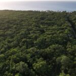 listing image thumbnail with ID 21980