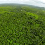 listing image thumbnail with ID 23339