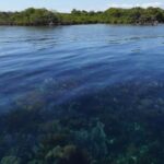 listing image thumbnail with ID 24220