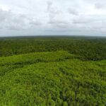 listing image thumbnail with ID 23334