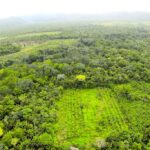 listing image thumbnail with ID 23368