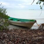 listing image thumbnail with ID 21858