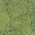 listing image thumbnail with ID 23229