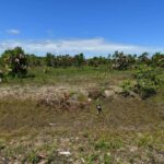 listing image thumbnail with ID 24876