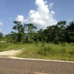 listing image thumbnail with ID 21830