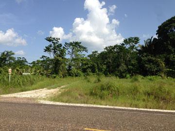 listing image with ID 21830