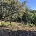 listing image thumbnail with ID 19873