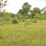 listing image thumbnail with ID 24180