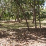 listing image thumbnail with ID 23682