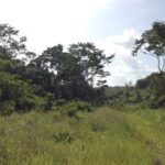 listing image thumbnail with ID 21839