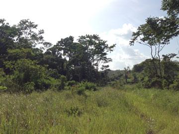 listing image with ID 21839