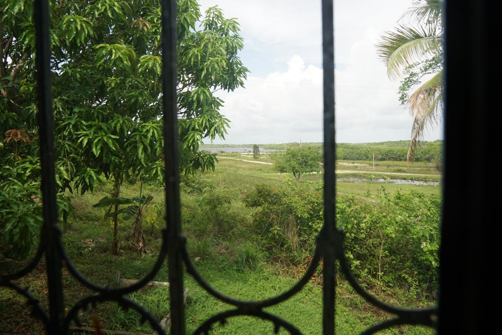 listing image with ID 7797