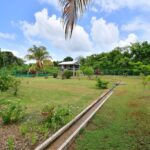 listing image thumbnail with ID 25494