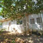 listing image thumbnail with ID 19840