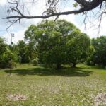 listing image thumbnail with ID 22365