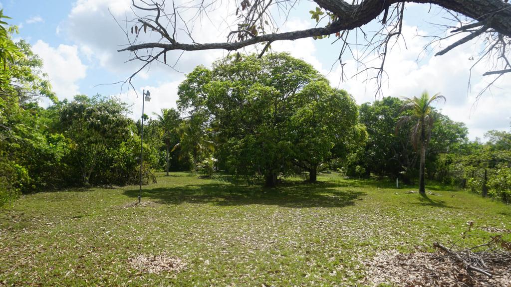 listing image with ID 22365