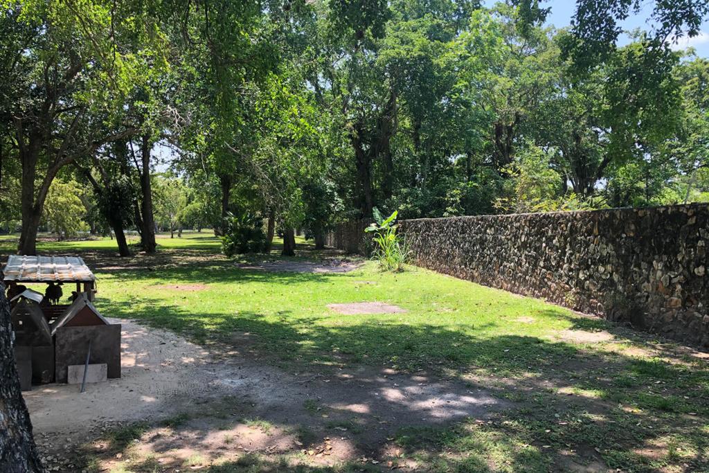 listing image with ID 22924