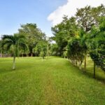 listing image thumbnail with ID 22903