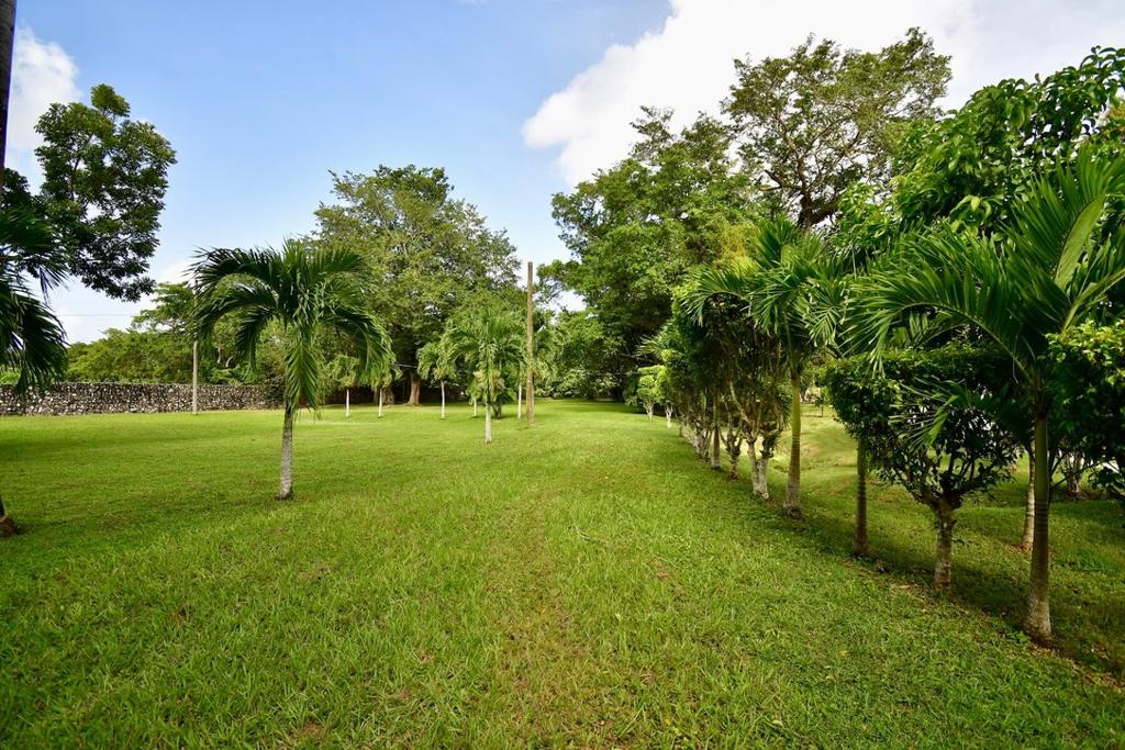 listing image with ID 22903