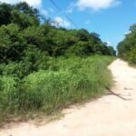 listing image thumbnail with ID 21992