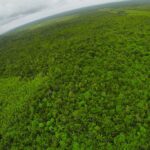 listing image thumbnail with ID 23323