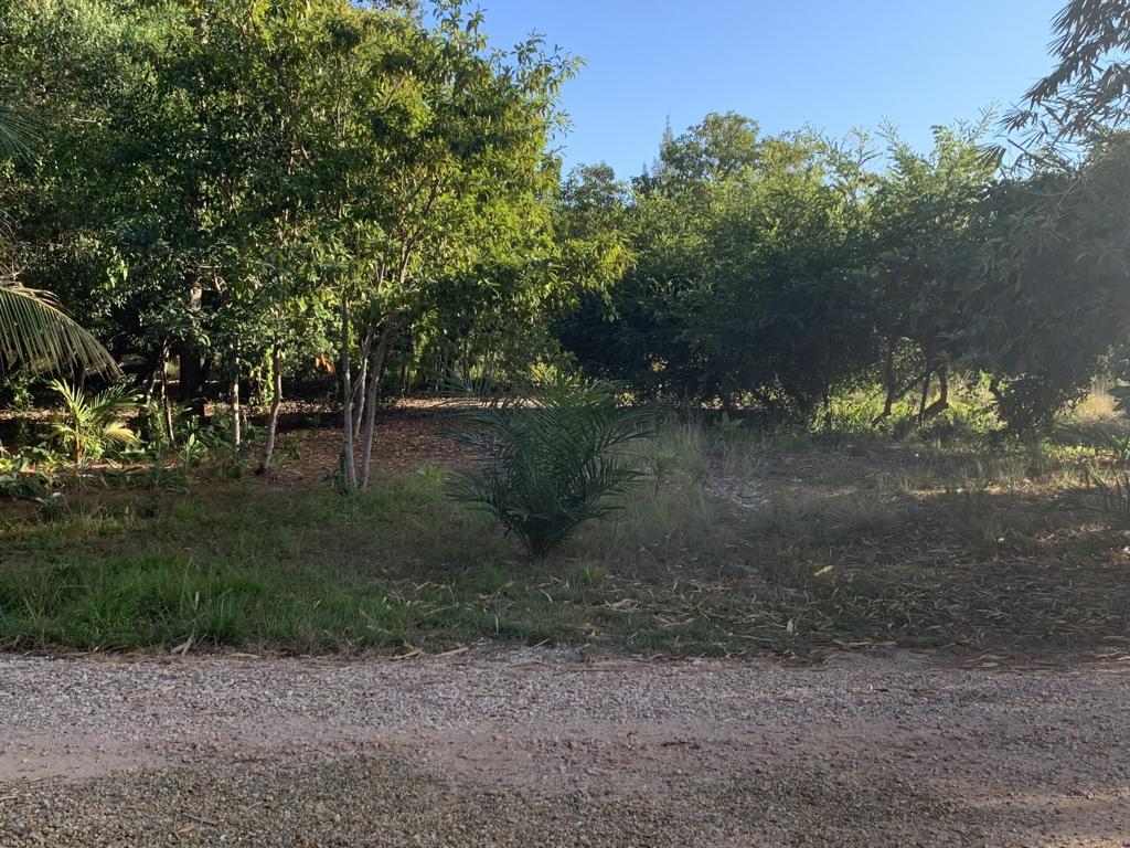 listing image with ID 15987