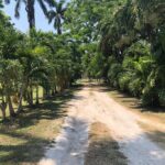 listing image thumbnail with ID 22895