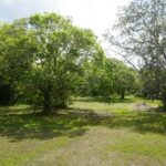 listing image thumbnail with ID 22368