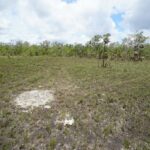 listing image thumbnail with ID 25246