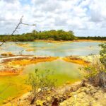 listing image thumbnail with ID 22784