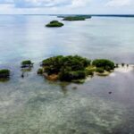 listing image thumbnail with ID 23017