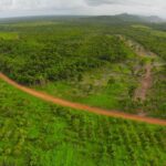 listing image thumbnail with ID 23366