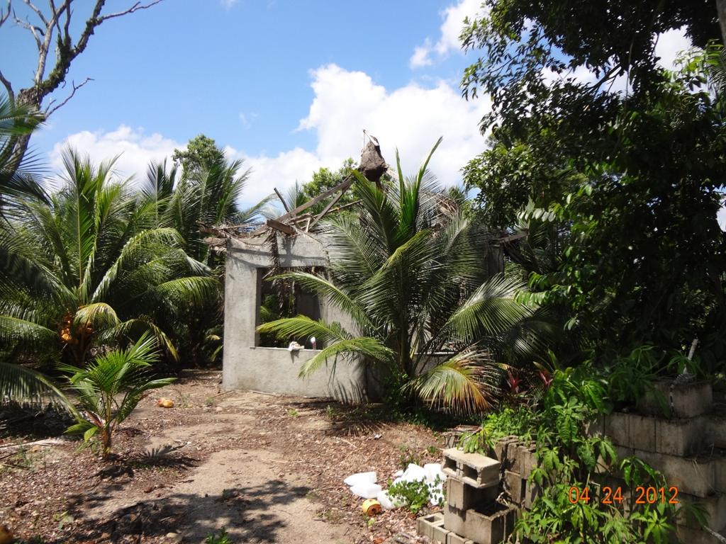 listing image with ID 16800